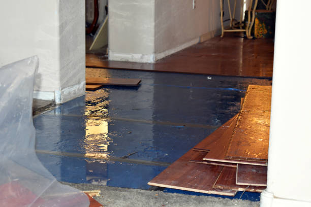 Professional Basement Flood Cleanup technician working in Stanwood, WA